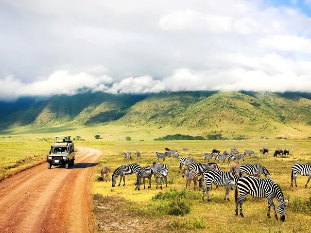 Viaggio di nozze safari e Seychelles